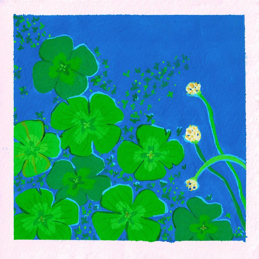 Untitled Untitled